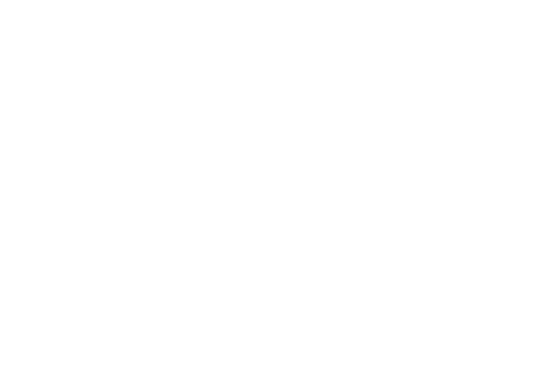 Emirates Stadium